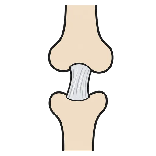 Piktogram AAC: więzadło