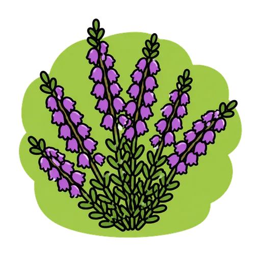 Piktogram AAK: vřesovec