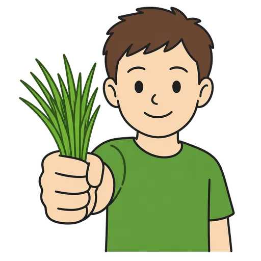 Pictogramme CAA : green like grass