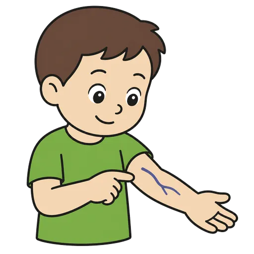 Pittogramma CAA: vena